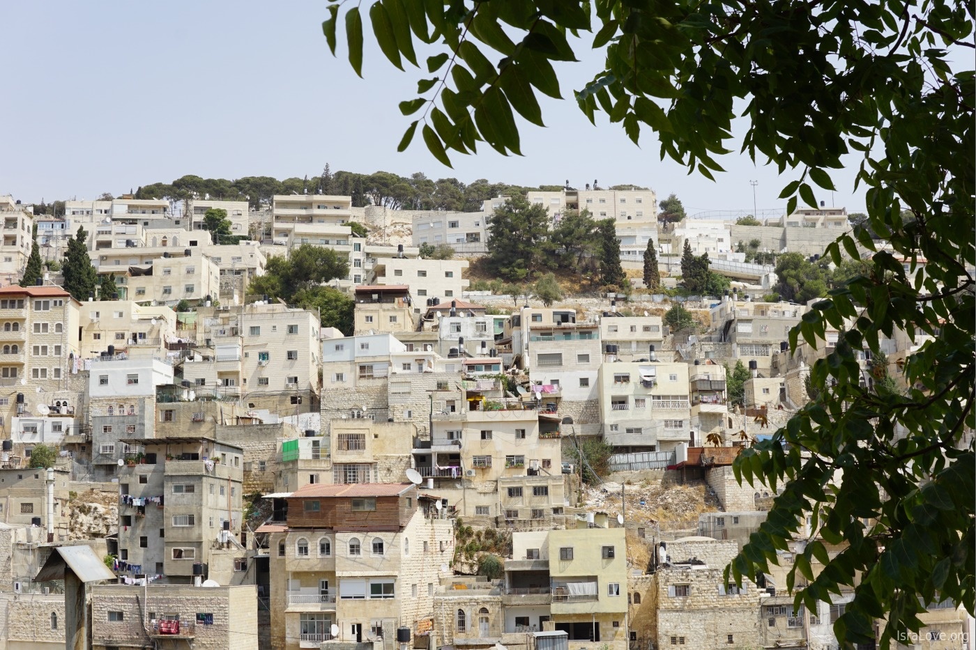 Иерусалим недвижимость сколько платят в европе за коммунальные услуги