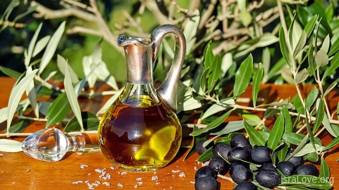 10 фактов об оливках и оливковом масле в Израиле