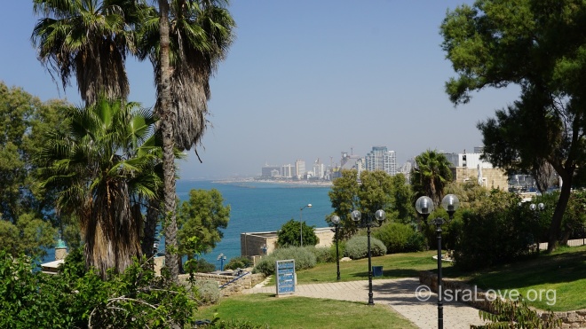 Интересные факты о Тель-Авиве