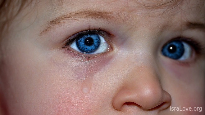 Рассказ Семена Винокура от которого нельзя сдержать слез